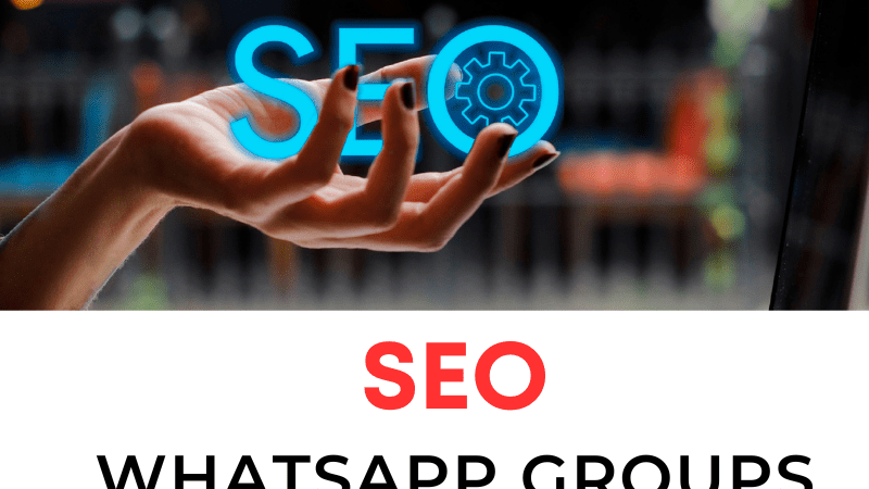 seo whatsapp group