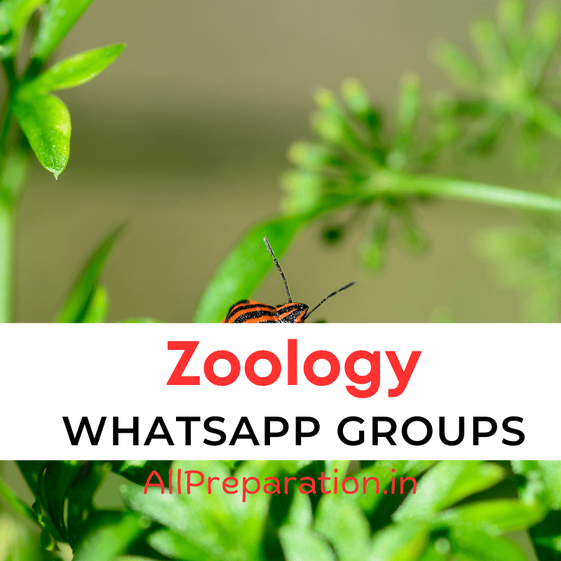 zoology whatsapp group